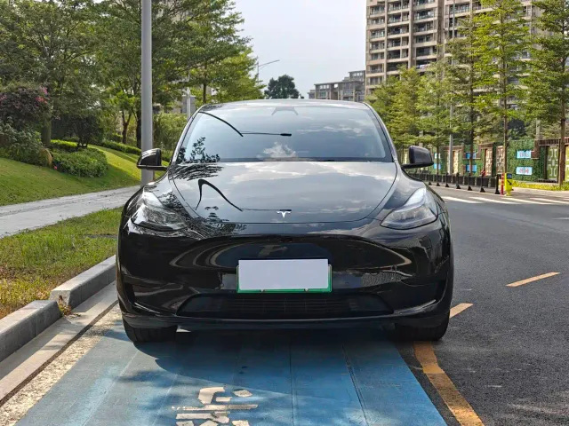 Tesla Model Y — Фото автомобиля 2