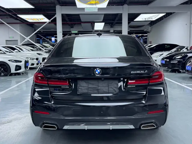 BMW 5 Series — Фото автомобиля 14