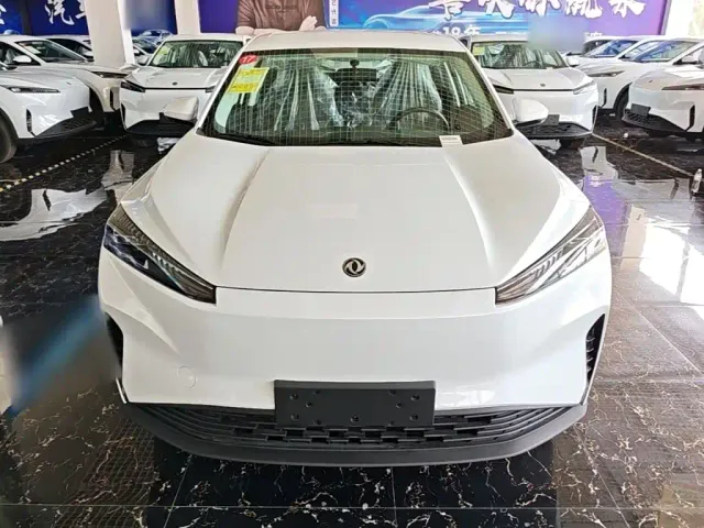 Dongfeng SKY EV01 — Фото автомобиля 2