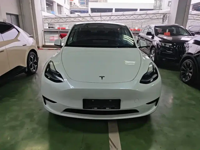 Tesla Model Y — Фото автомобиля 2