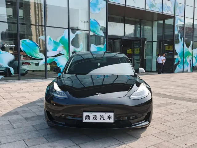 Tesla Model 3 — Фото автомобиля 8