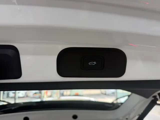 Geely Starry Wish — Фото автомобиля 18