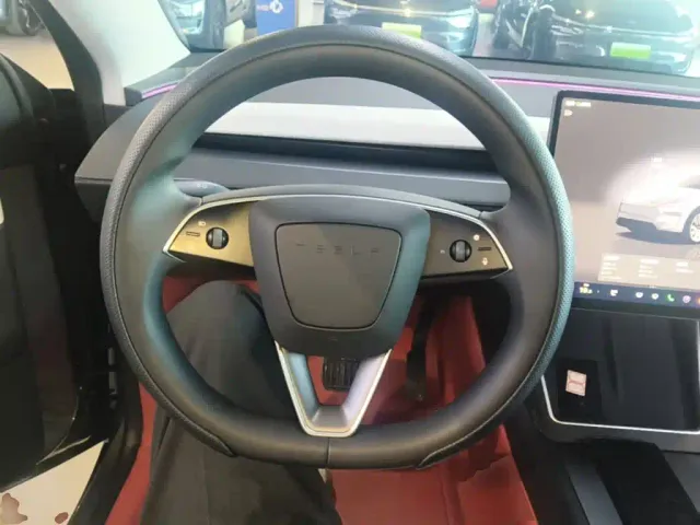 Tesla Model Y — Фото автомобиля 10