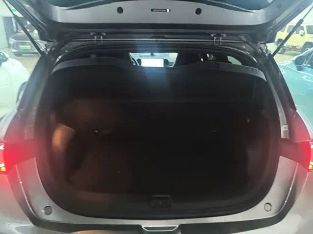 BYD Dolphin — Фото автомобиля 18