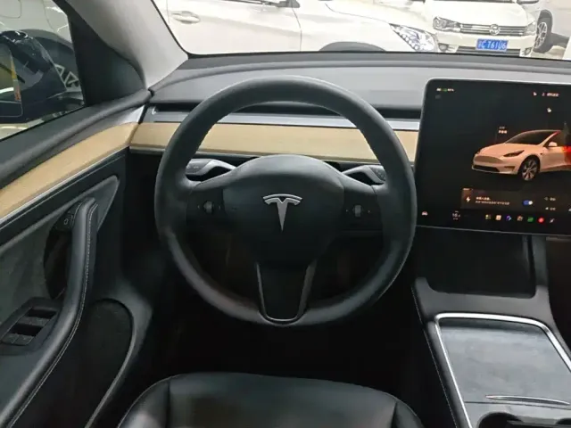 Tesla Model Y — Фото автомобиля 10