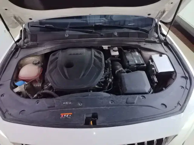 Geely Xingrui — Фото автомобиля 19