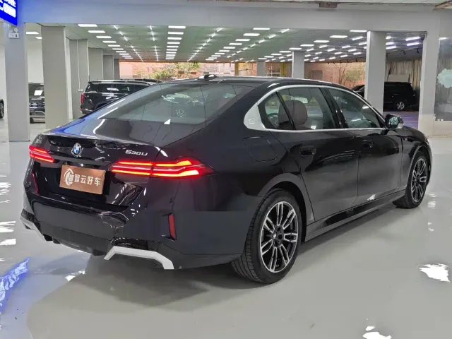 BMW 5 Series — Фото автомобиля 9