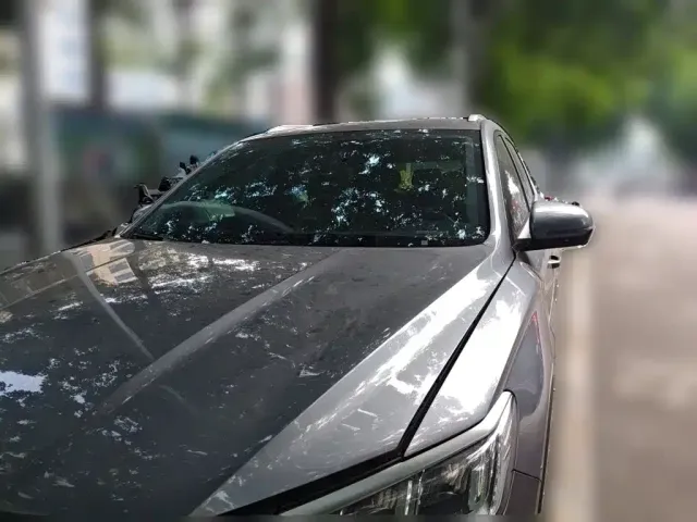 BYD Song Pro — Фото автомобиля 23