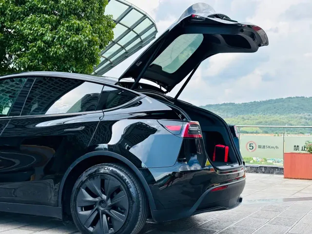 Tesla Model Y — Фото автомобиля 21
