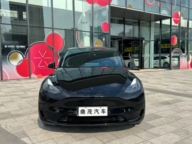 Tesla Model Y — Фото автомобиля 2