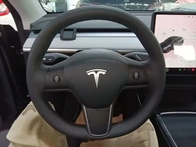 Tesla Model Y — Фото автомобиля 10