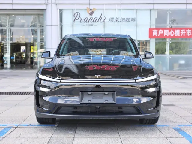 Tesla Model Y — Фото автомобиля 2