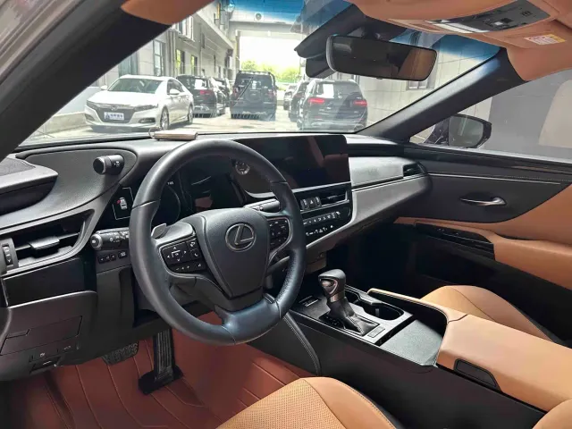Lexus Lexus ES 2023 260 Excellence — Фото автомобиля 17