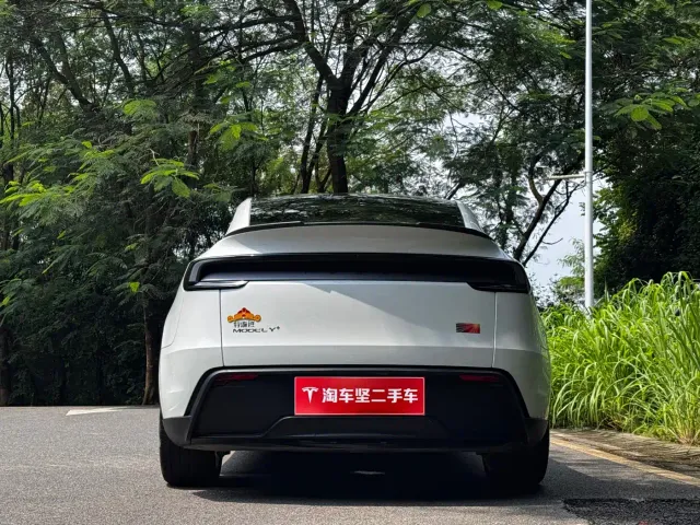 Tesla Model Y — Фото автомобиля 5