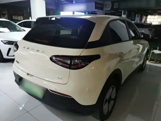 Geely Starry Wish — Фото автомобиля 6
