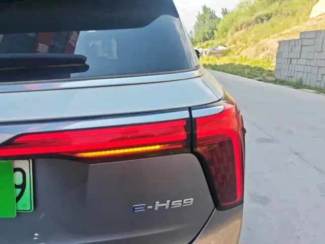 Hongqi E-HS9 — Фото автомобиля 7