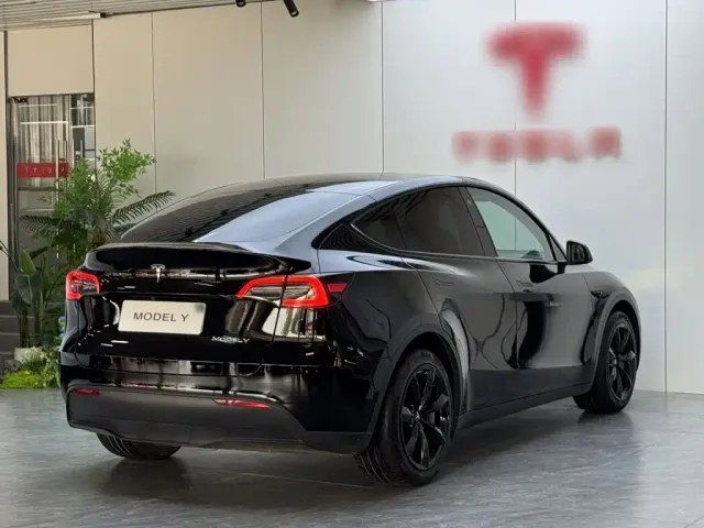 Tesla Model Y — Фото автомобиля 6
