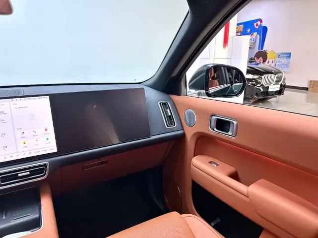 Li Auto L9 — Фото автомобиля 19