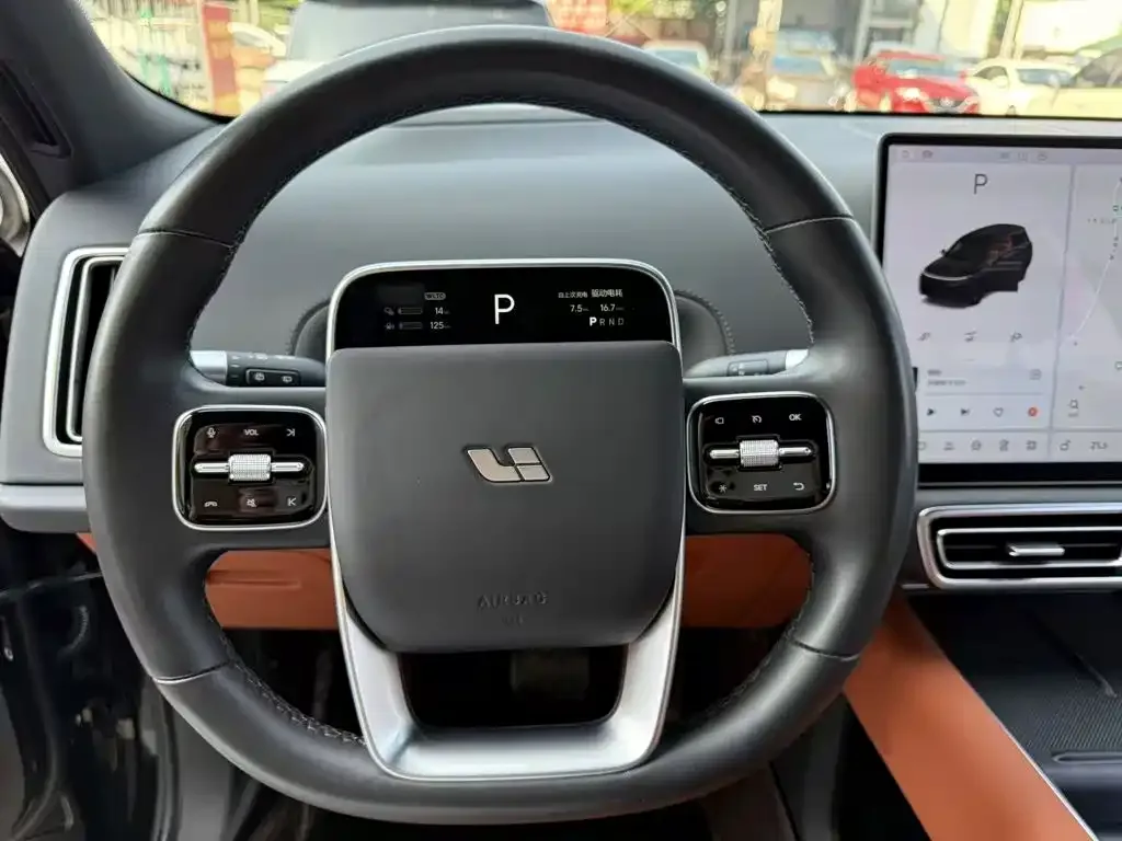 Li Auto Li Xiang L9 2023 Model Pro — Фото автомобиля 20