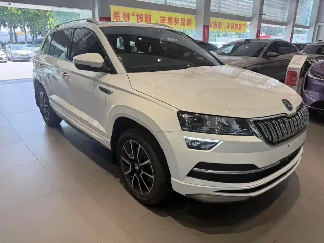 Skoda Karoq — Фото автомобиля 3