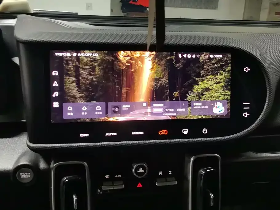 Haval Haval Big Dog 2024 2.0T DCT Chinese Rural Dog Edition — Фото автомобиля 13