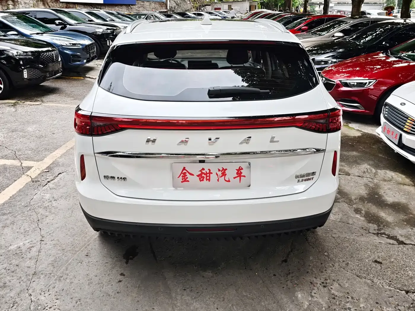 Haval Haval H6 2021 3rd Generation 2.0T Auto AWD Max — Фото автомобиля 5