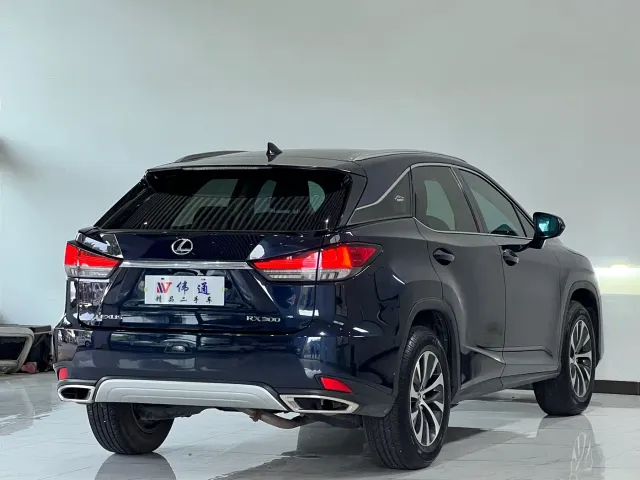 Lexus RX — Фото автомобиля 21