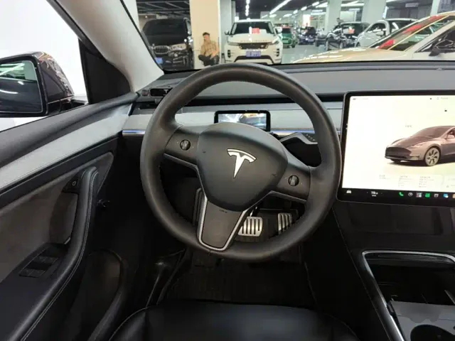 Tesla Model Y — Фото автомобиля 10
