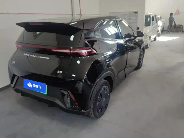 BYD Seagull — Фото автомобиля 3