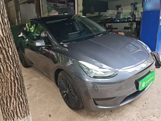 Tesla Model Y — Фото автомобиля 3