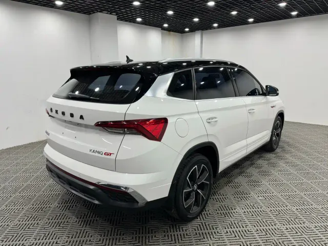 Skoda Kamiq — Фото автомобиля 7