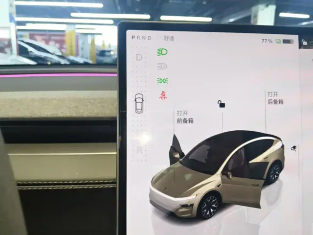 Tesla Model Y L — Фото автомобиля 13