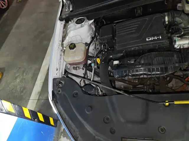 BYD Qin PLUS — Фото автомобиля 21
