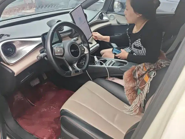 BYD Dolphin — Фото автомобиля 9
