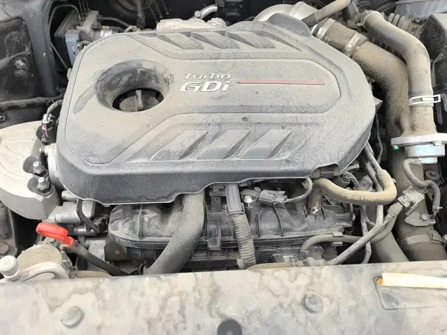 Hyundai Santa Fe — Фото автомобиля 10