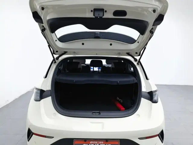 BYD Dolphin — Фото автомобиля 16