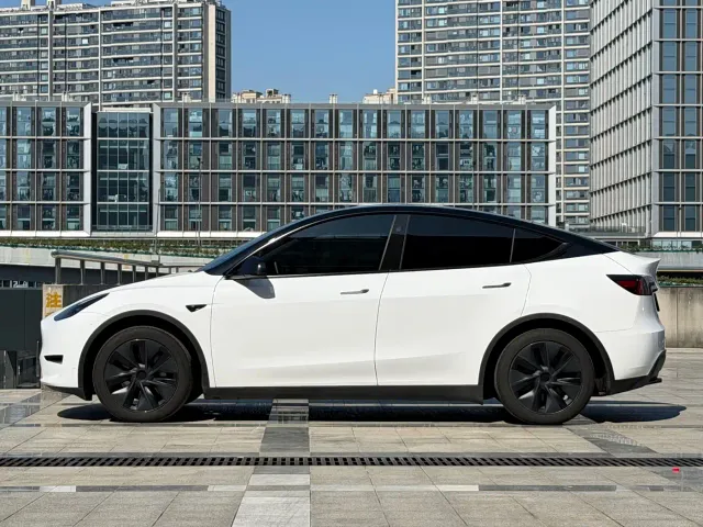 Tesla Model Y — Фото автомобиля 3
