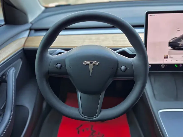 Tesla Model 3 — Фото автомобиля 18