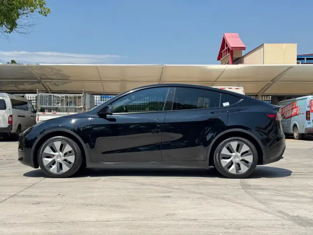 Tesla Model Y — Фото автомобиля 4