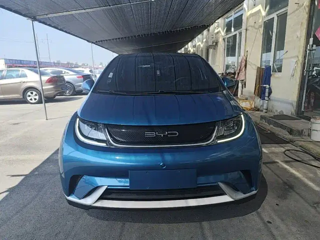 BYD Dolphin — Фото автомобиля 2