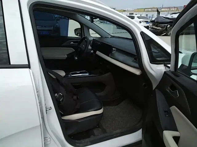 Geely Geometry E Firefly — Фото автомобиля 19
