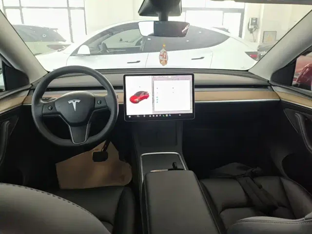Tesla Model Y — Фото автомобиля 9