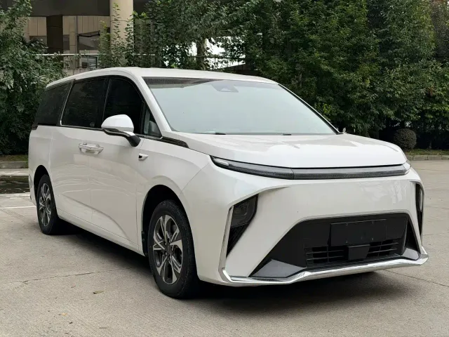 Maxus Dajia 9 — Фото автомобиля 3