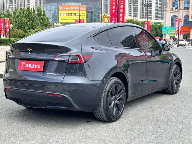 Tesla Model Y — Фото автомобиля 10