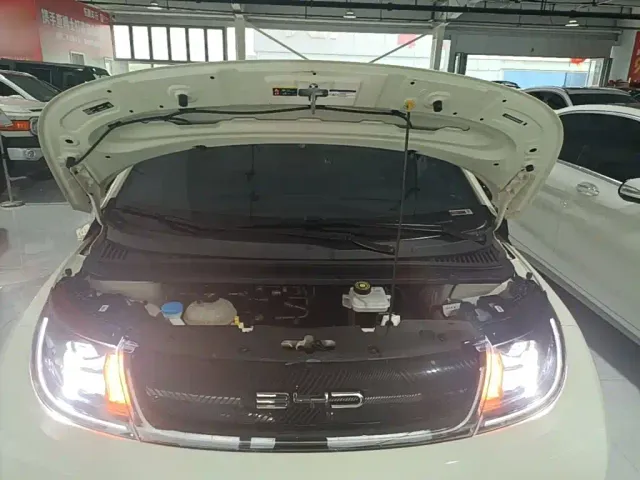 BYD Dolphin — Фото автомобиля 19