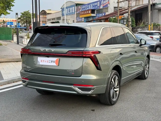 Wey Lanshan — Фото автомобиля 12