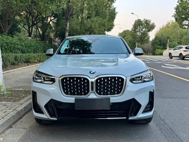 BMW X4 — Фото автомобиля 2
