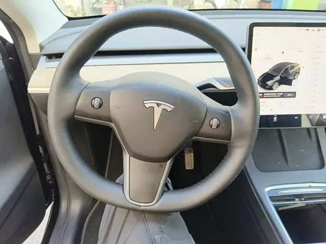 Tesla Model Y — Фото автомобиля 10