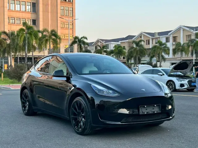 Tesla Model Y — Фото автомобиля 3