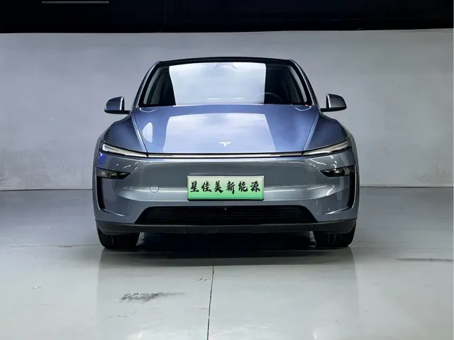 Tesla Model Y — Фото автомобиля 2